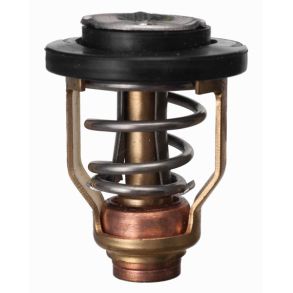 Sierra Termostat 50gr. Yamaha