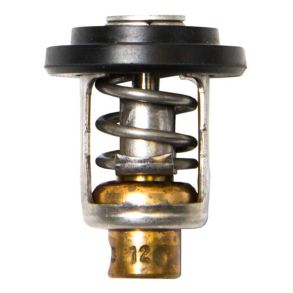 Sierra Termostat 50gr. Yamaha