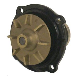 Sierra Circulating Water Pump