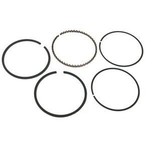 Sierra Stempelringe. Mercruiser