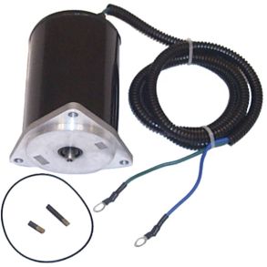 Sierra Tilt/Trim Motor. Suzuki