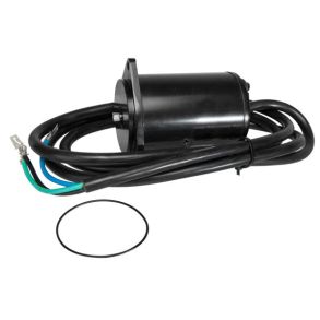 SierraTilt/Trim Motor. OMC