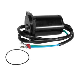 SierraTilt/Trim Motor. Evinrude/Johnson