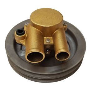 Johnson Impellerpumpe F6B-9  OEM  VP21255090