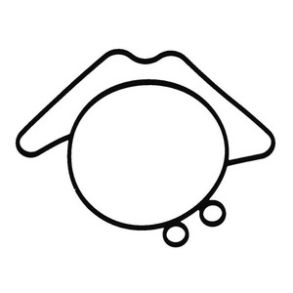 Sierra Karburartor Pakning. Evinrude/Johnson