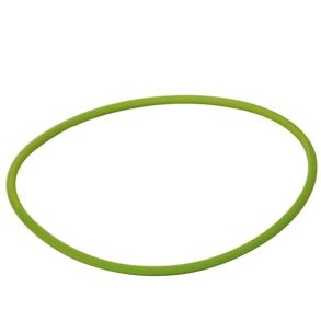 O-ring for inspektionsdksel